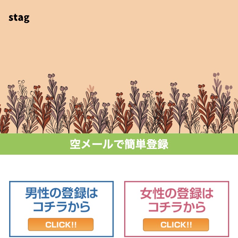 stagのTOP画像