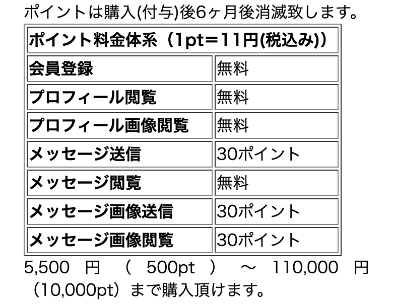 ポイント料金体系の画像