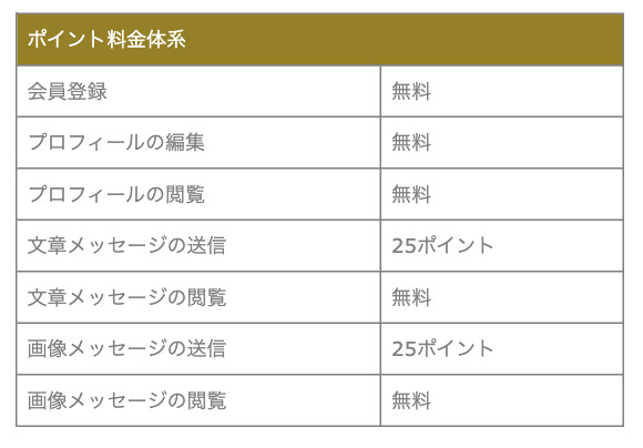 ポイント料金体系