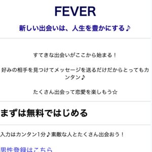 FEVER(フィーバー)のメインビジュアル